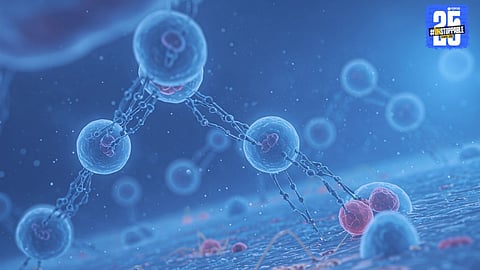 Nano Robots