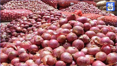 Onion Procurement