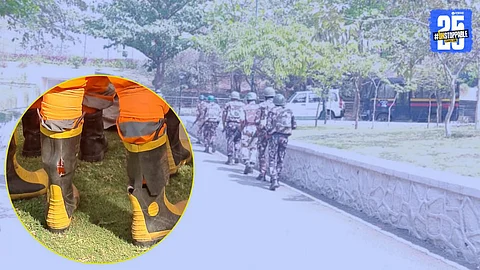 Mock Drill