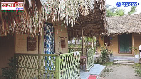 Dihing Patkai rainforest