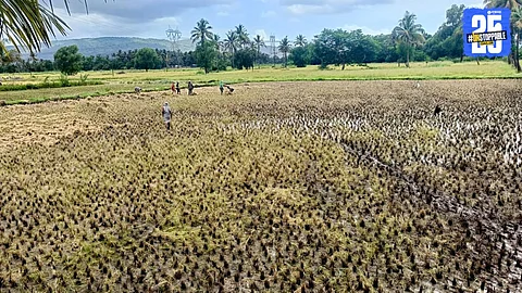 Raigad Farmers