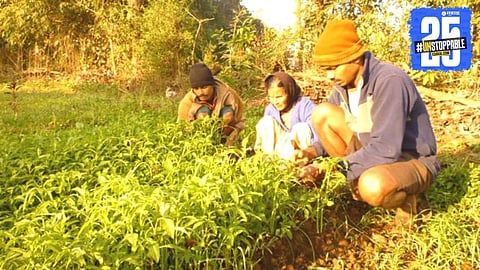 Ghat region farmers supplying vegetables to Konkan markets dominate prices and supply chain.