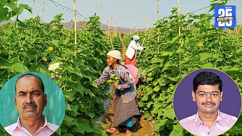 Father and son duo who cultivated 25 tons of cucumbers in just 88 days, achieving ₹3 lakh income from one acre.