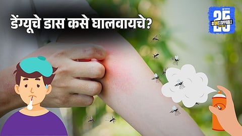 How To Prevent Dengue Mosquitoes