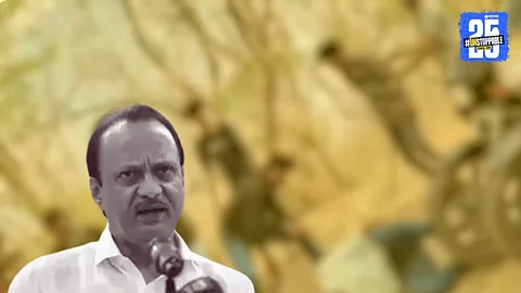 Parli Video: परळी मारहाण प्रकरणात लागणार मकोका? अजित पवारांचे स्पष्ट निर्देश, व्हिडीओ पाहून म्हणाले, एवढं तर...