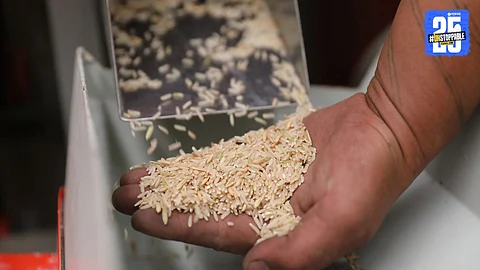 Rice Production