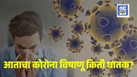 Corona Virus