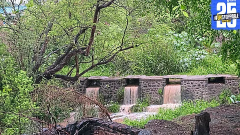 Lightning and heavy rain wreak havoc across Satara district; farmlands submerged and farmers face heavy losses.