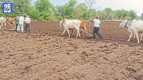 Akola Farming