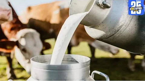 Ghost beneficiaries milk the system: Dairy subsidy scam under audit in three