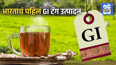 Darjeeling Tea | First GI Tag Product Of India