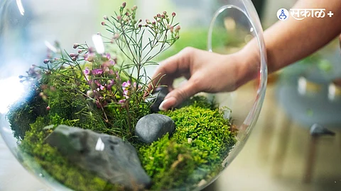 Environmental Sustainability