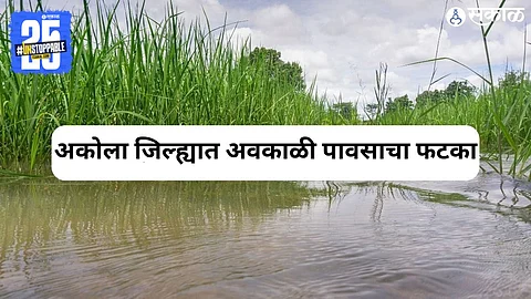 Akola Rain