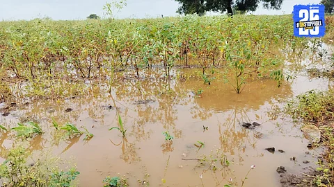 Crop Insurance Crisis