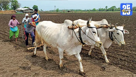 Maharashtra Farmers