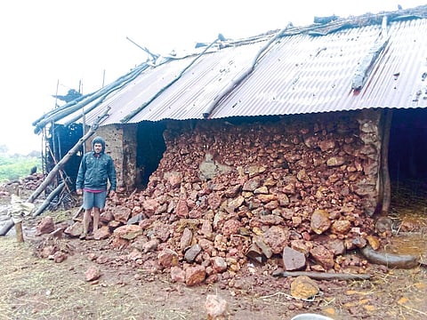 कुडलीत गोठा तर रायरेश्वर येथे घराची भिंत कोसळली