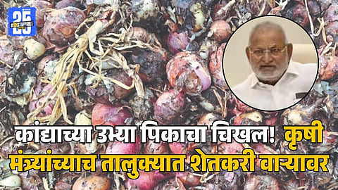 Manikrao Kokate_Nashik Onion destroyed by heavy rain