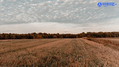 Tribal land Rights