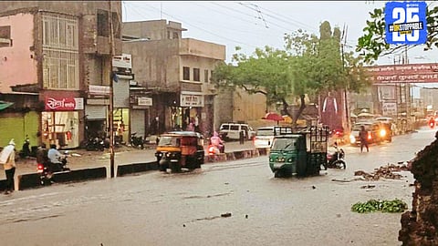 Waterlogged onion field after heavy rainfall, causing crop damage and halted farm work.