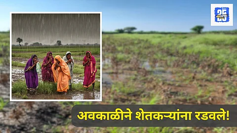 Farmers crop loss due to unseasonal rain