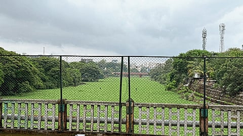 मुळा नदीचे पात्र हॅरिस पुलापर्यंत हिरवेगार