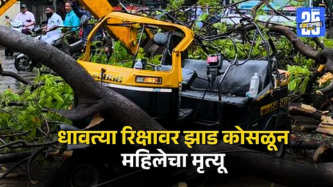 Pune rains claim another life as tree collapses