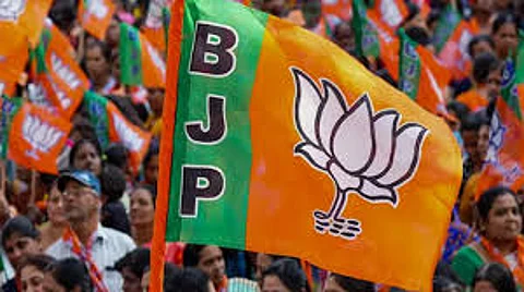 bjp solapur