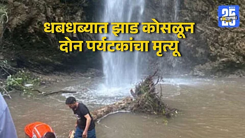 Tree falls at Tiger Waterfall, kills two tourists