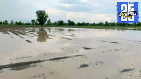 Collapsed embankments and destroyed orchards after a storm lash rural farming areas.