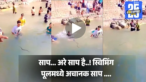 Viral video of snake spotted in swimming pool