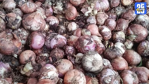 Onion Loss