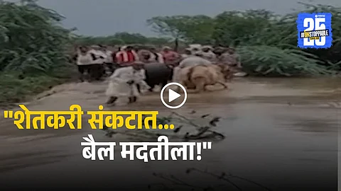 viral video