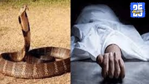 Tragedy in Adarki: Child dies after snakebite while playing in the yard; villagers mourn the loss.