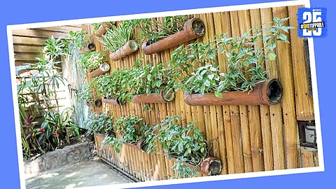 Balcony Decor
