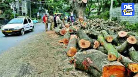 Tree felling for highway construction leads to shrinking forest cover and disturbed wildlife habitats