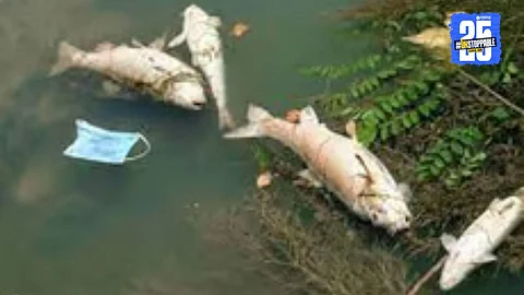 Sewage water mixing into Panchganga River near urban drains causing pollution
