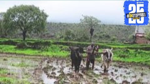 Agricultural assistants resume duties, bringing speed to crop loss surveys and Kharif season preparations across Maharashtra