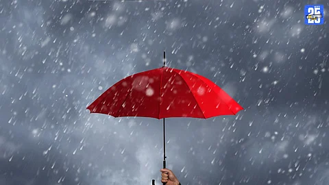 Umbrella Shopping