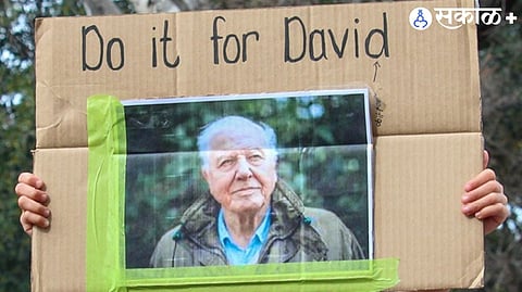David Attenborough