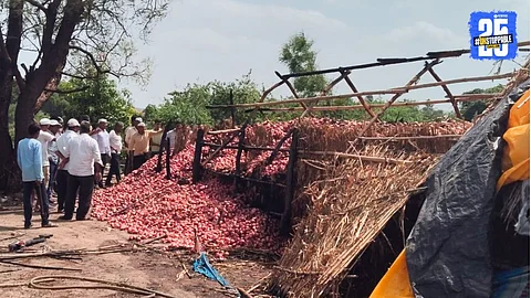 Onion Harvest Loss