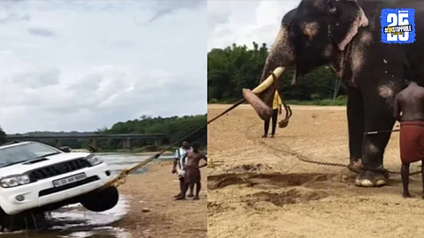 A dramatic moment captured as an elephant pulls out a Fortuner SUV stuck in a river — a rare sight that stunned the internet.