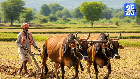Akola Farmers