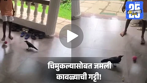 Viral Video