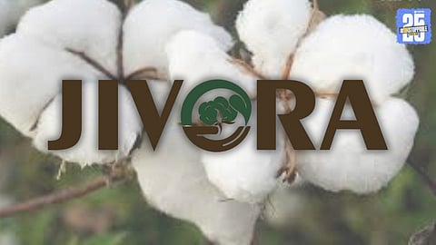 Cotton Jivora