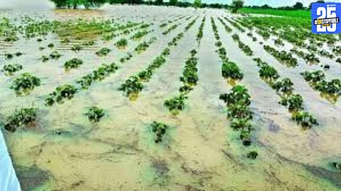 Nagpur Rain Damage