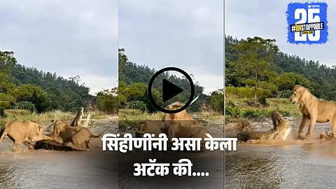 Viral Video: