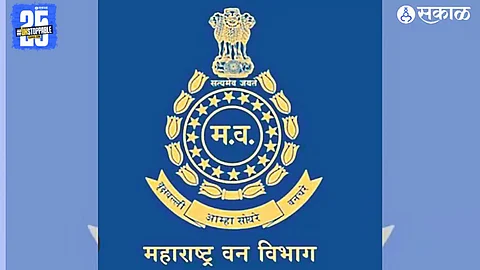 Indian Forest Service