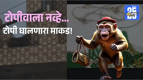Monkey steals bag with 20 lakh jewellery in Vrindavan, dramatic police recovery follows. Read full story on this shocking temple incident.