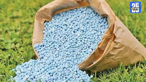Fertilizer Scam