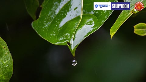 Unseasonal Rains